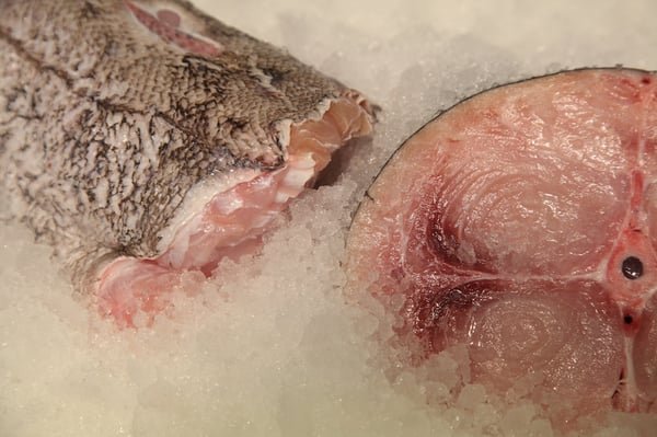 Blue Island Fish Market by null