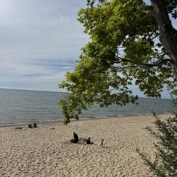 Douglas Beach