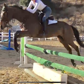 Cellar Door Farm - Position! - Horseback Riding Near Me - Lake View Terrace, California
