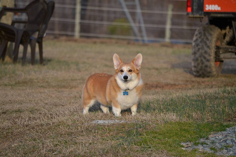 Sport of Horses Park - equestrian in Snow Camp, NC