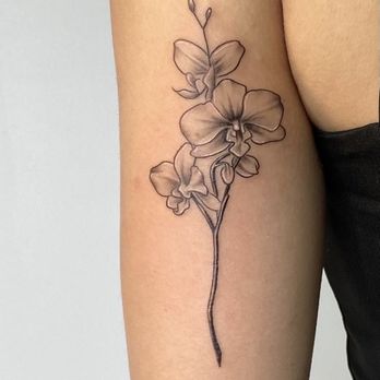 Piercinks Tattoo Lounge - Tattoo Near Me - Macon, Georgia