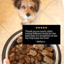 Yumwoof Natural Pet Food
