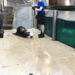 Marine Life