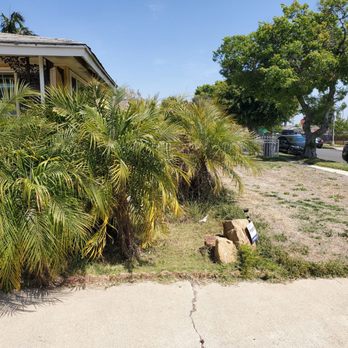 Franciscos Landscaping - Before. Plam trees - Landscaping Near Me Franciscos Landscaping - Before. Plam trees - Landscaping Near Me