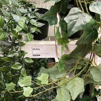 IKEA - Fake plants - Home Decor Near Me - Charlotte, North Carolina IKEA - Fake plants - Home Decor Near Me - Charlotte, North Carolina