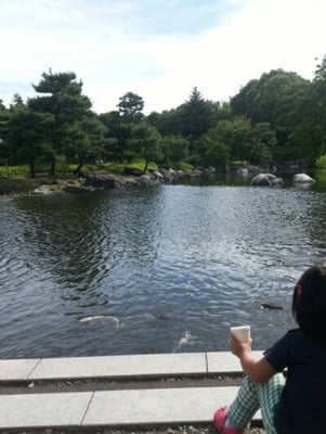 Shirotori Garden by null