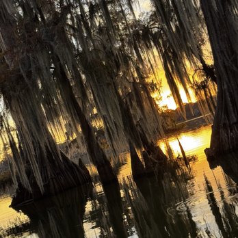 Louisiana Tours - Boat Tours Near Me - Breaux Bridge, Louisiana