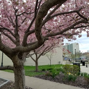 Lake Effect Ice Cream - Parking lot~ - Ice Cream & Frozen Yogurt Near Me - Lockport, New York