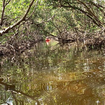 Surferbus.com - Rafting/Kayaking Near Me - Bradenton, Florida