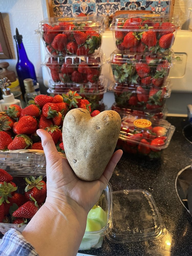 Bounty & Soul - social services organization in Black Mountain, NC