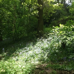 Woodhouse Ridge