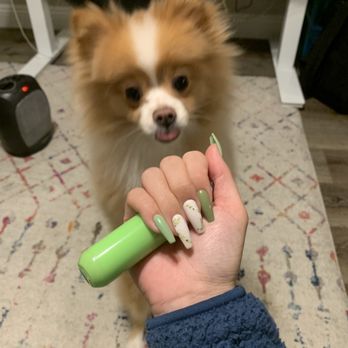 Tea Nails Bar - The dog also loved the color - Nail Salons Near Me - Temple City, California