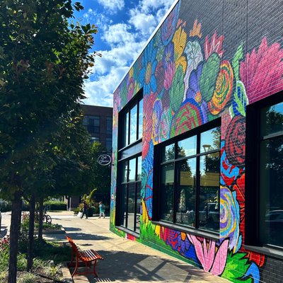 Brassica in Shaker Heights by null