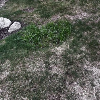 N & T Landscaping Service - Landscaping Near Me - Washington, Michigan N & T Landscaping Service - Landscaping Near Me - Washington, Michigan