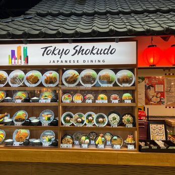 Tokyo Shokudo - a display of various types of food - Japanese Near Me - Arlington Heights, Illinois