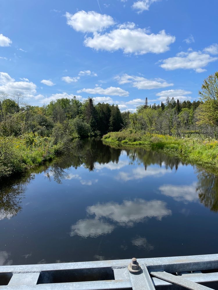 GOODRICHLOOMIS CONSERVATION AREA Updated September 2024 10911345