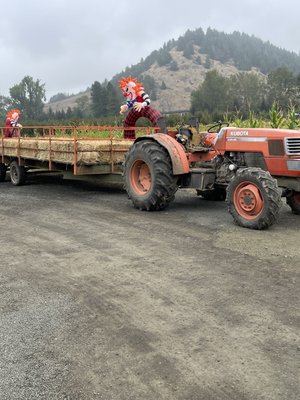 Brosi's Sugartree Farms by null