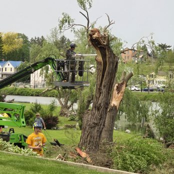 Torres Tree Service - You can see our team working hard to clean up this damaged area - Tree Services Near Me - Waupun, Wisconsin Torres Tree Service - You can see our team working hard to clean up this damaged area - Tree Services Near Me - Waupun, Wisconsin