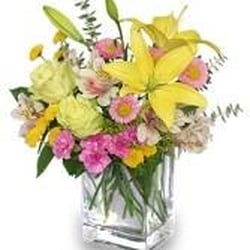 Cole's Flowers