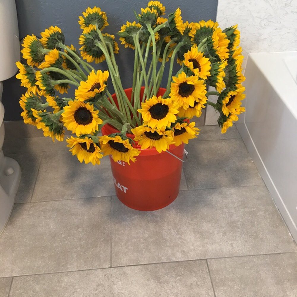 Fifty Flowers - Floral Designers Near Me Fifty Flowers - Floral Designers Near Me