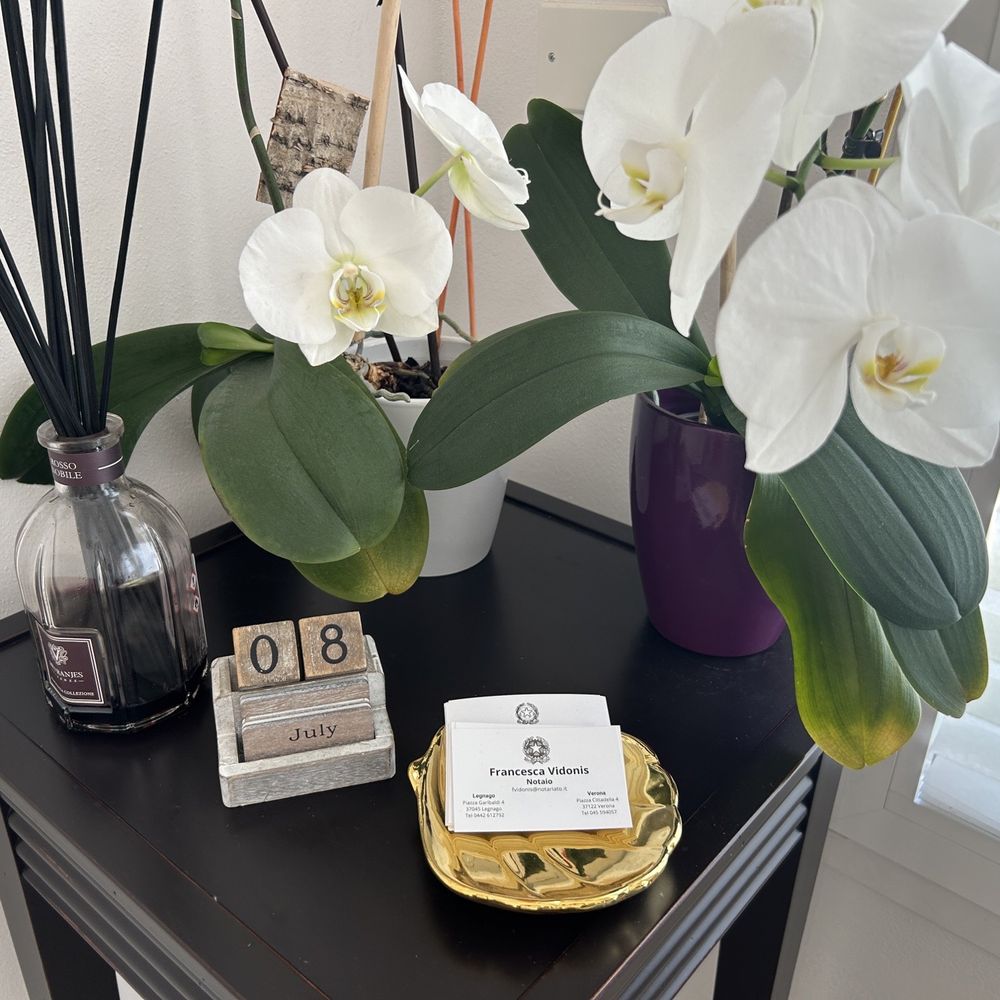 MESSAGE FROM THE BOARD, image size:1000x1000