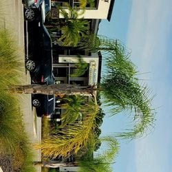 Florida Pain Physicians - The view from the parking lot.