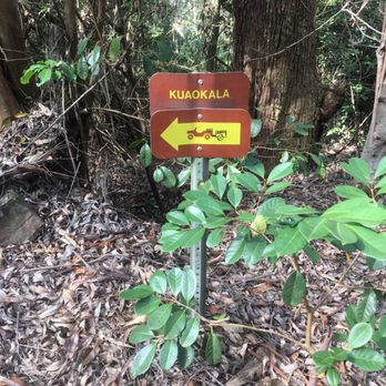 Kealia Trail - Go past the picnic tables to continue hiking - Hiking Near Me Kealia Trail - Go past the picnic tables to continue hiking - Hiking Near Me