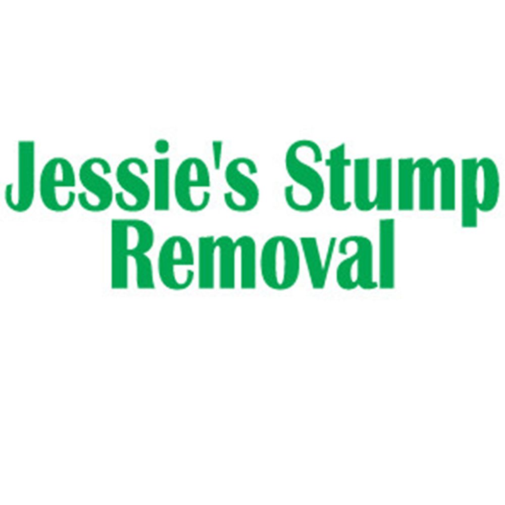 Jessie's Stump Removal - tree service in Beech Grove, IN