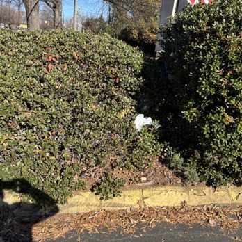Fitness Connection - Homeless encampment - Gyms Near Me - Charlotte, North Carolina