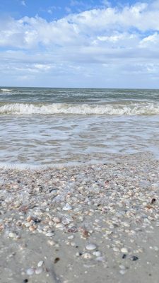 Caladesi Island State Park by null