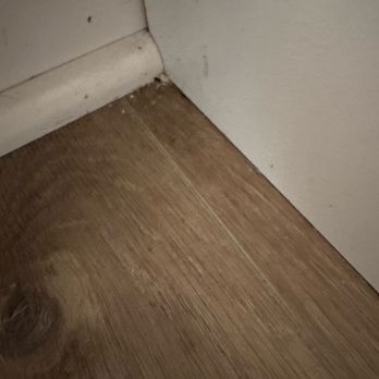 Dora’s House Cleaning - Home Cleaning Near Me