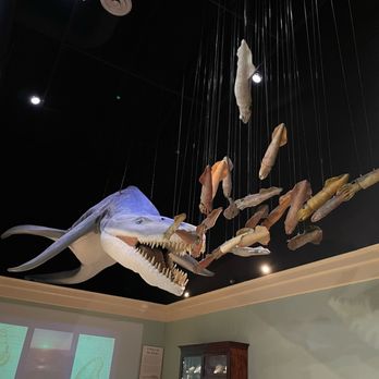 Mayborn Museum - Museums Near Me - Waco, Texas
