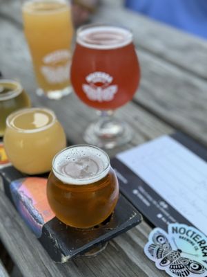 Nocterra Brewing Co. - Powell by null