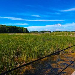 Floating bridge