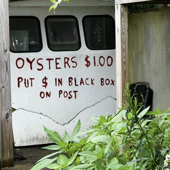 Weskeag Oyster Co - Seafood Markets Near Me - South Thomaston, Maine Weskeag Oyster Co - Seafood Markets Near Me - South Thomaston, Maine