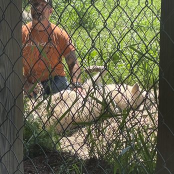 Wolf Hollow - Community Service/Non-Profit Near Me - Ipswich, Massachusetts