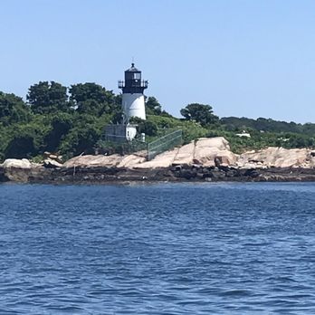 Cape Ann Whale Watch - Boat Charters Near Me - Gloucester, Massachusetts