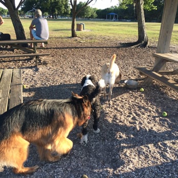 17th Street Dog Park - Expansive dog park. - Dog Parks Near Me - Sarasota, Florida 17th Street Dog Park - Expansive dog park. - Dog Parks Near Me - Sarasota, Florida