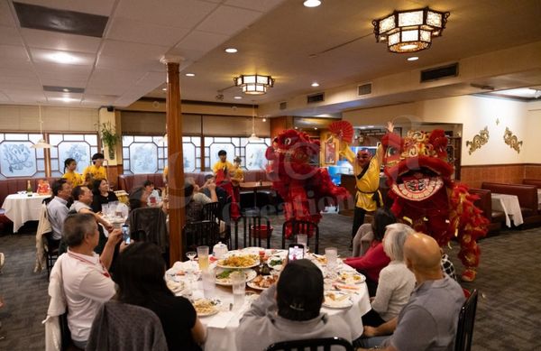 Lam's Garden by null