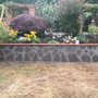 The Wall