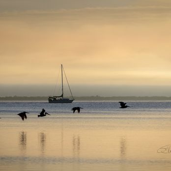Veterans Memorial Park - Misty morning at VMP - Parks Near Me - Titusville, Florida