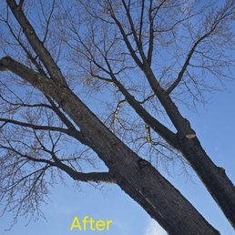 After trim