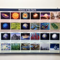 Rock Museum - Cool posters everywhere