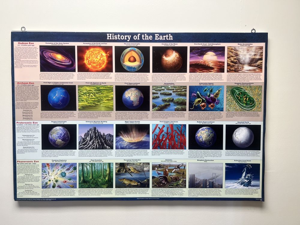 ROCK MUSEUM 37 Food Lion Rd, Scotland Neck, North Carolina Museums