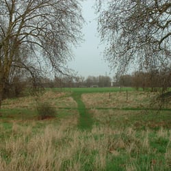Hackney