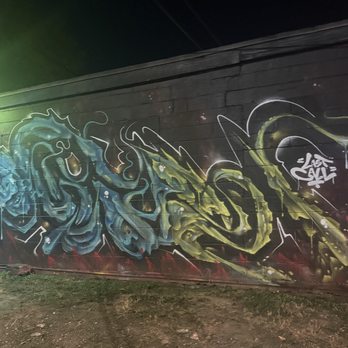The Grackle - Cool mural - Dive Bars Near Me - Austin, Texas