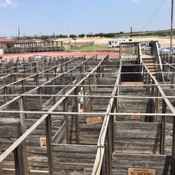 Cowtown Cattlepen Maze