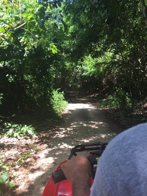 Bahia De Cacaluta by null