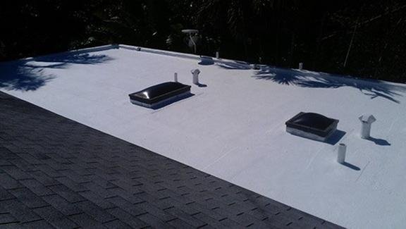 Slide of Andrew Palmer