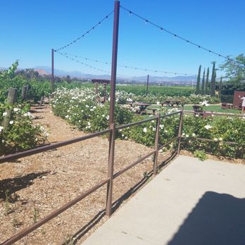 Best Coast Temecula Wine Tours - Wine Tours Near Me - Temecula, California Best Coast Temecula Wine Tours - Wine Tours Near Me - Temecula, California
